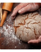 Alimentação Humana