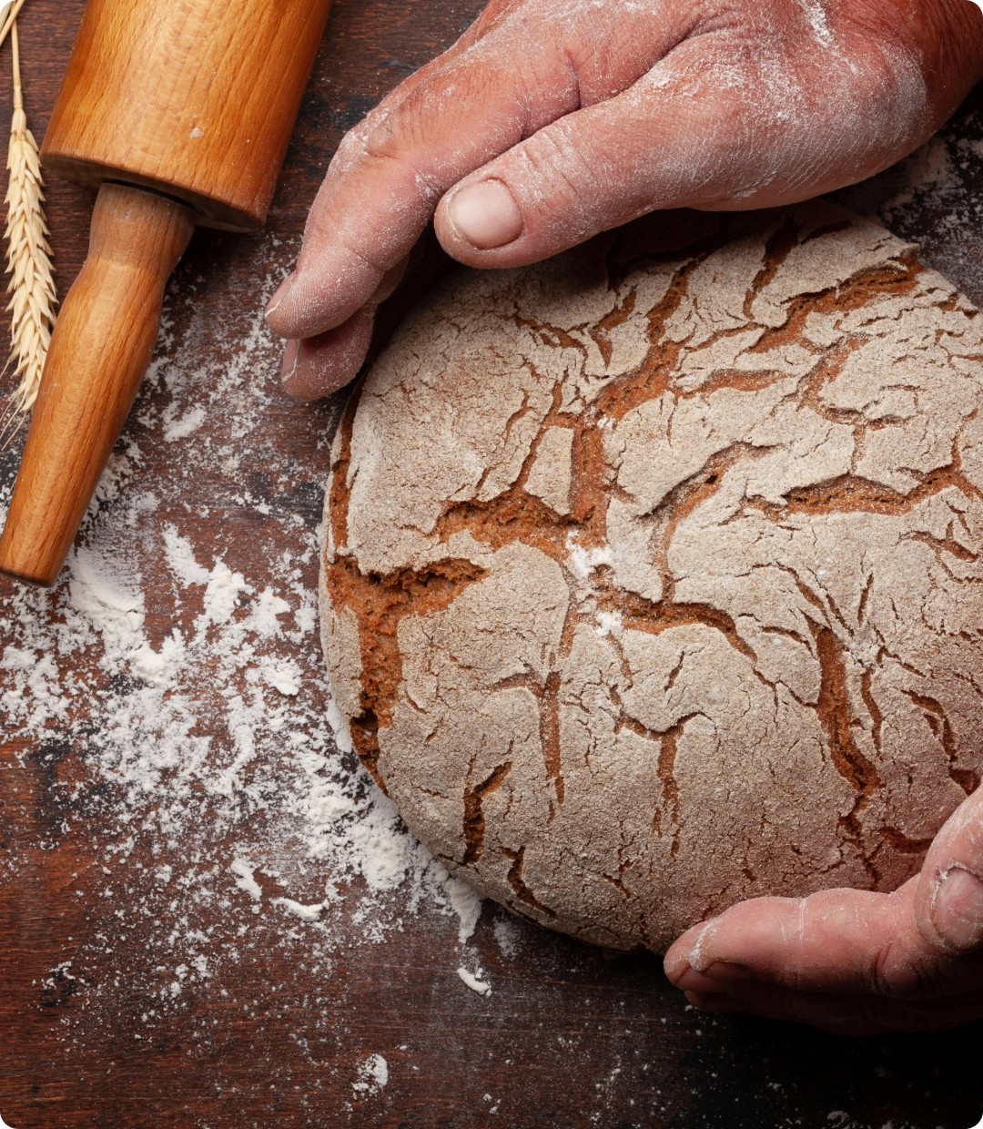 Alimentação Humana